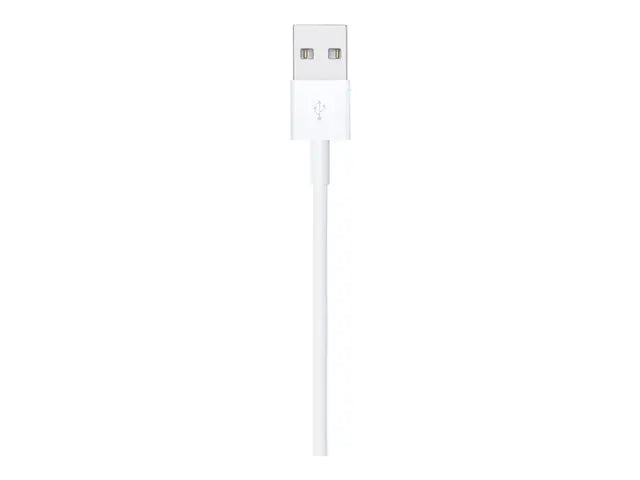Apple Lightning to USB Cable (1 m) Apple