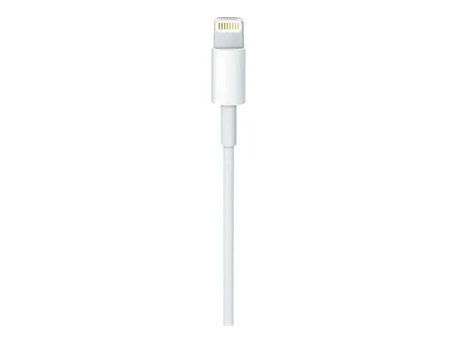 USB-C To Lightning Cable 1 M Apple